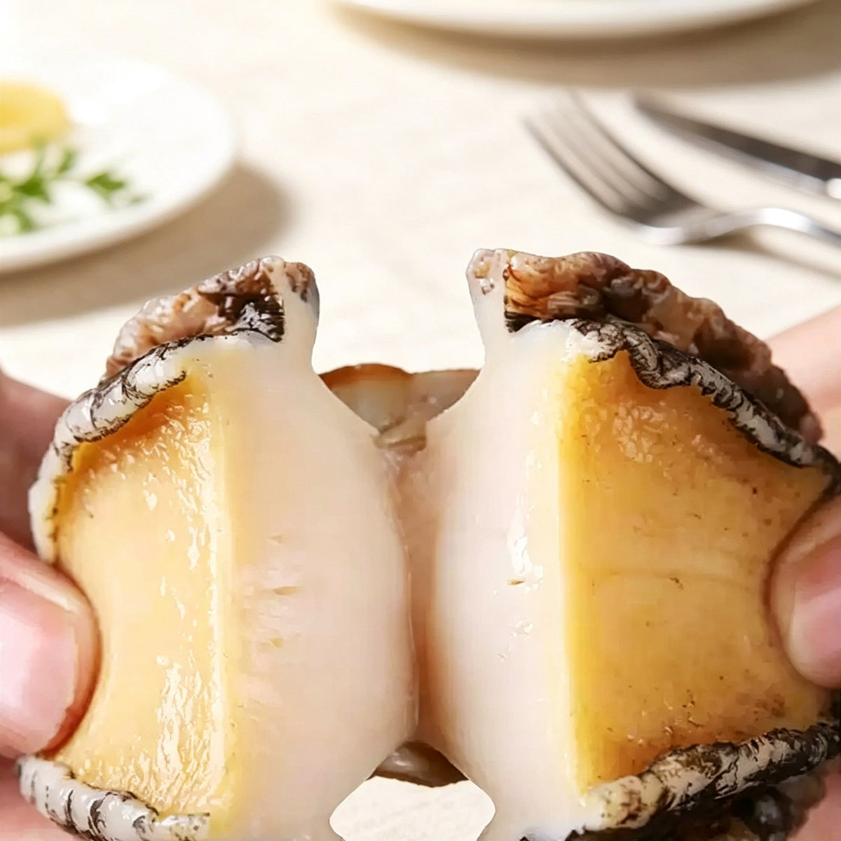 Whole Fresh-Frozen Shell-Removed Abalone Meat